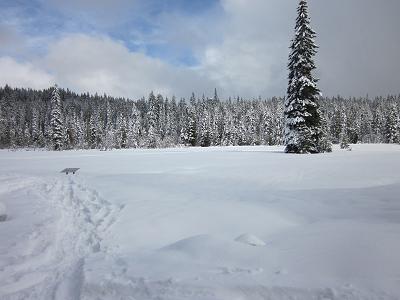 Trillium Lake Snowshoe Trail Head