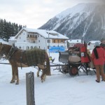 Getting ready for sleigh ride