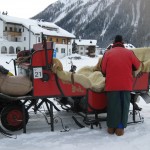 getting ready for sleigh ride