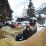 Sleigh with blankets and sheepskin throws