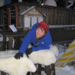 Sheepskin covered bar stools