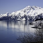 Shoup Bay Trail 2