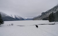 Chilkoot Lake and Jake