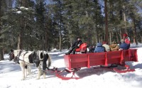 sleigh