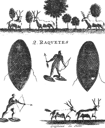 infographic of Indigenous peoples wearing snowshoes in daily life