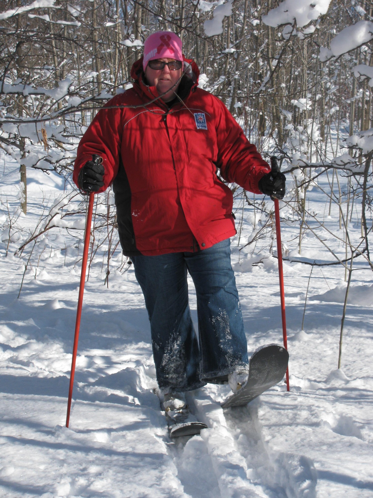 Crossblades split the difference between backcountry skis and snowshoes