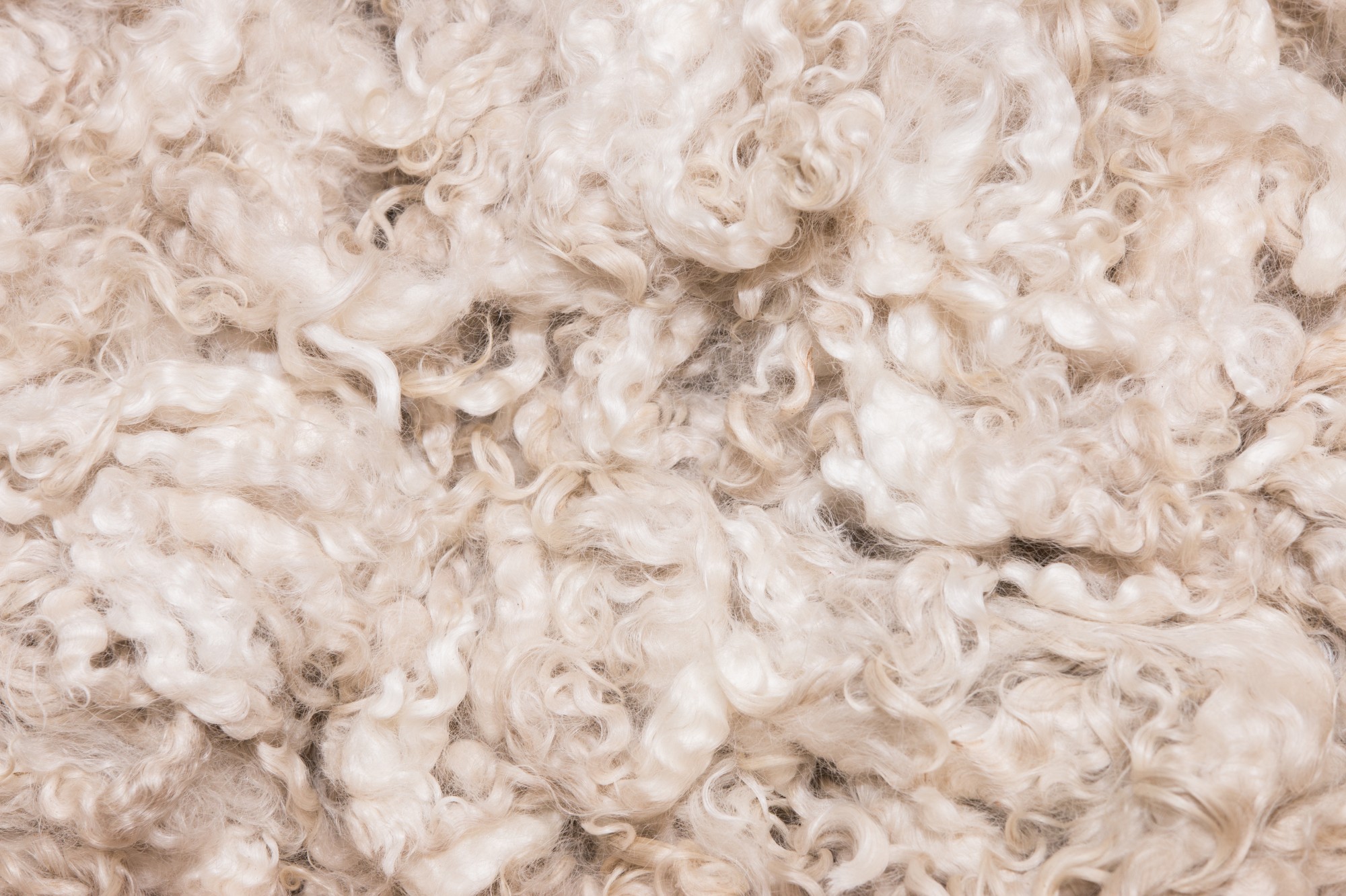 Wool & Silk Knit Turtleneck Sweater