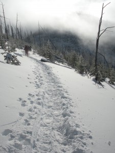 2010 January - Bald Snow Snowshoe Trip 046