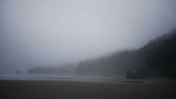 800px-Foggy_Coastline