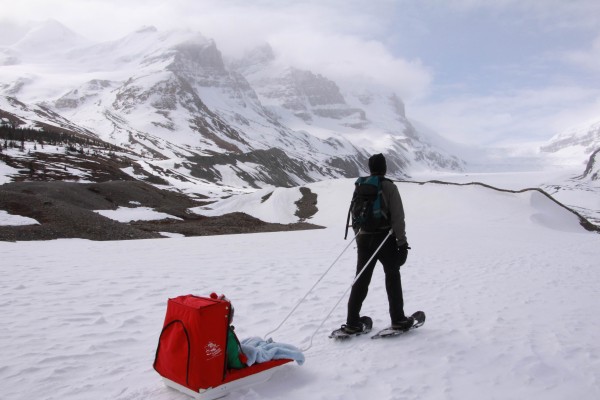 adult on snowshoes pulling child in sled up to Athabasca Glacier