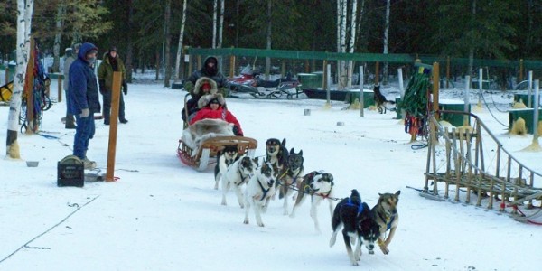 Mushing is a must in Fairbanks