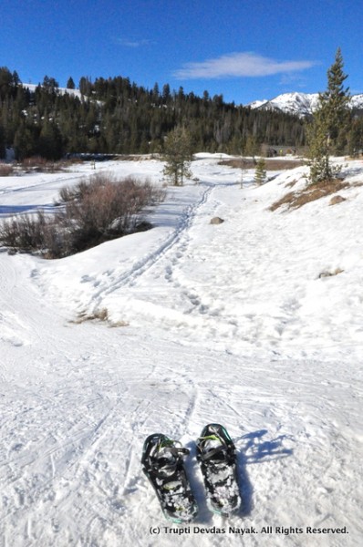 Snowshoeing in Sawtooth National Recreation Area