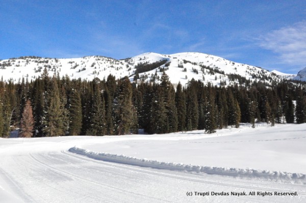 Well-groomed Nordic ski trails go alongside the snowshoe trails
