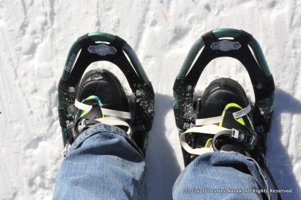 Wearing my nifty, compact snowshoes