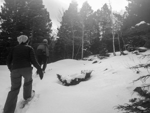 Snowshoeing at Angel Fire 