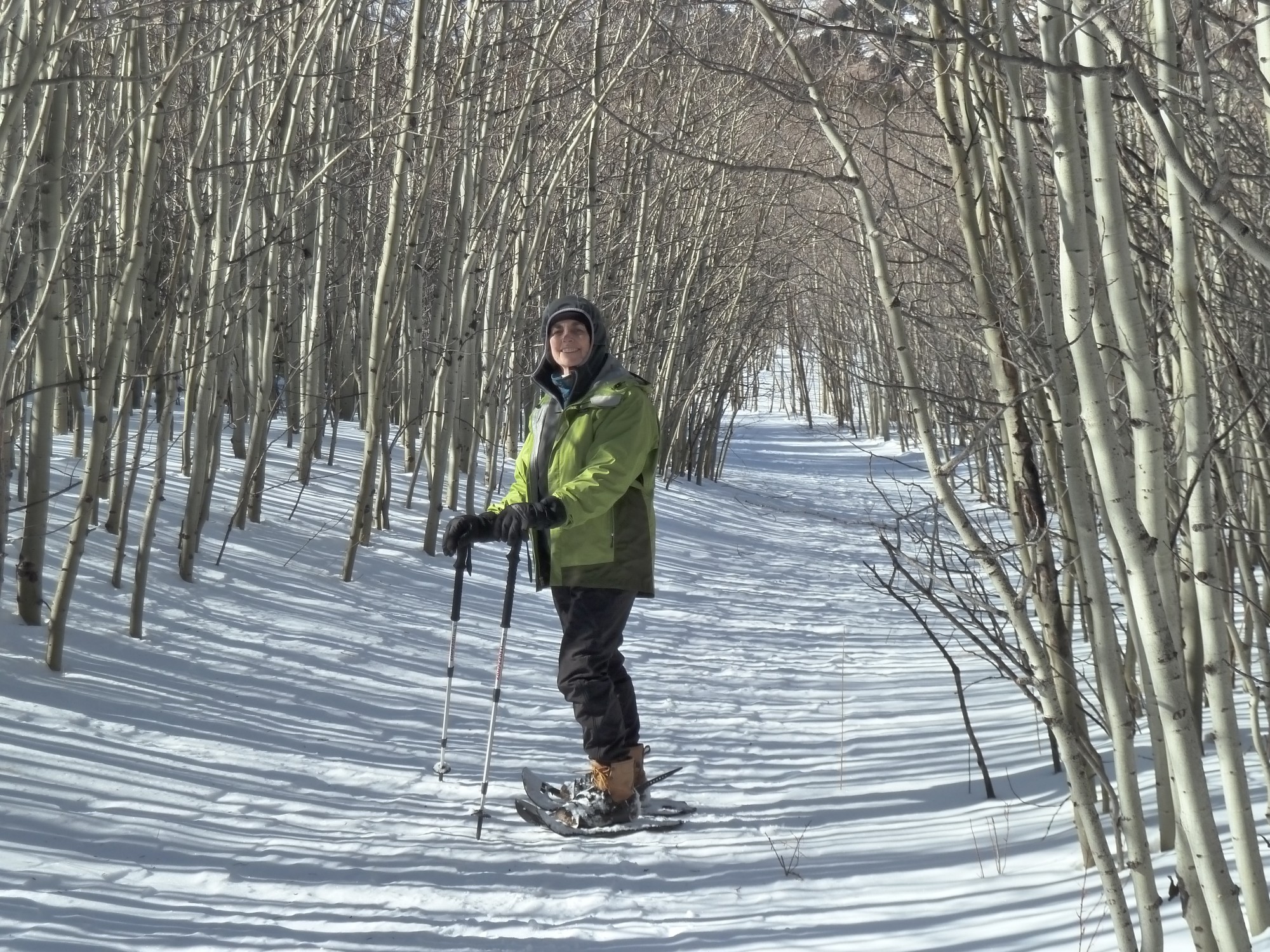 Book Review Snowshoe Routes Colorado S Front Range