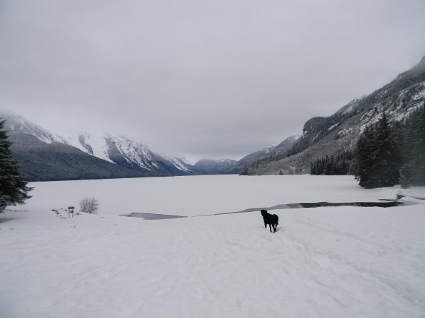 Chilkoot Lake and Jake