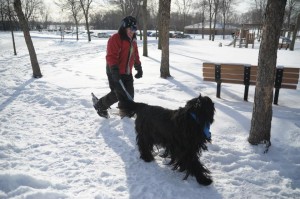 Popular Snowshoer and Dog Class Brings Out All Breeds